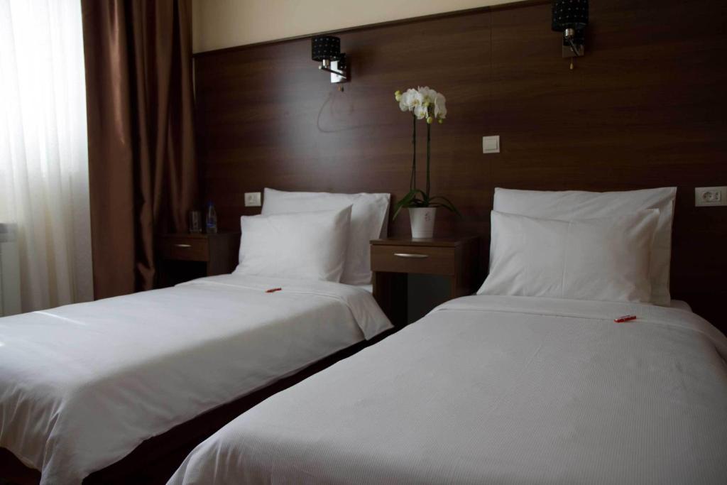 Hotel M Podgoriţa Cameră foto